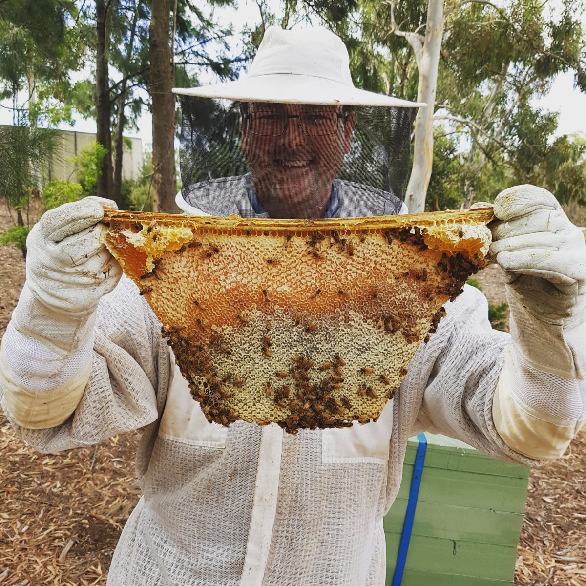 Head beekeeper at Parliament House Cormac Farrell 
