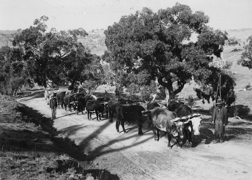 Now and then: The loads on Yass country roads | Riotact