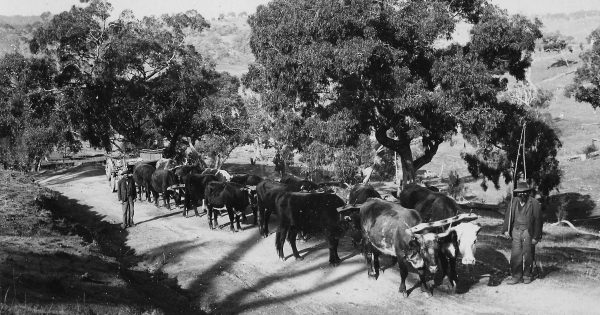 Now and then: The loads on Yass country roads