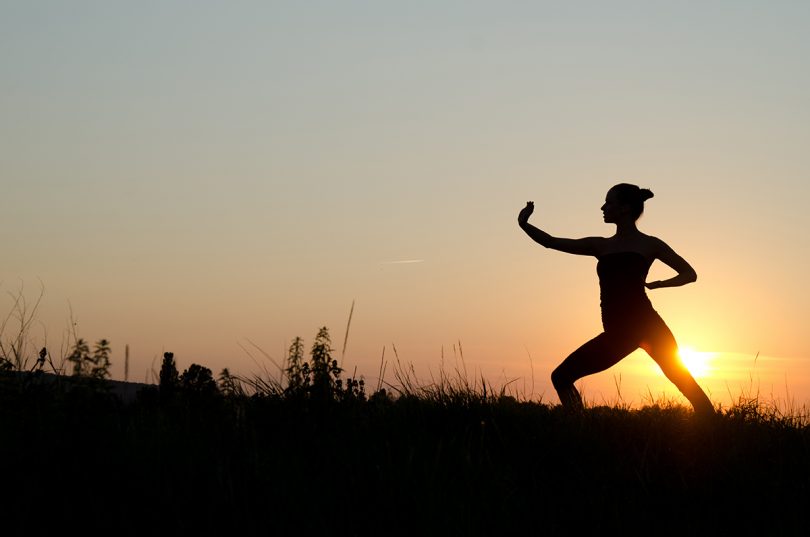 Tai Chi Silhouette