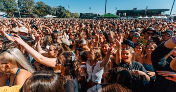 Harm Reduction Australia furious after insurer pulls the plug on pill testing at Groovin the Moo