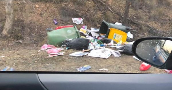 Trash strewn throughout Carwoola streets, bins destroyed