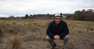 Goulburn community solar farm receives $2.1 million grant