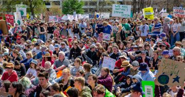 Climate strike was a masterclass in manipulation