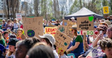 ACT joins forces with South Australia, NSW to fight for climate action