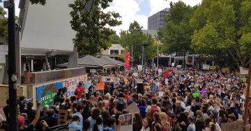 The next global climate strike is happening – and this time, we need everyone's support