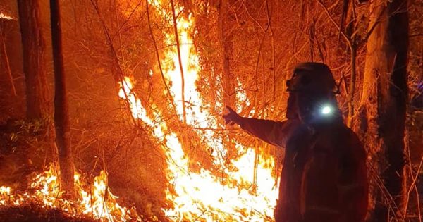 ACT firefighters deploy to Queensland bushfire emergency