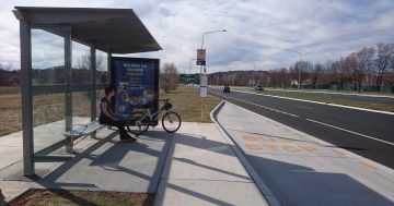 More than 50 bus stops receive upgrades across Canberra