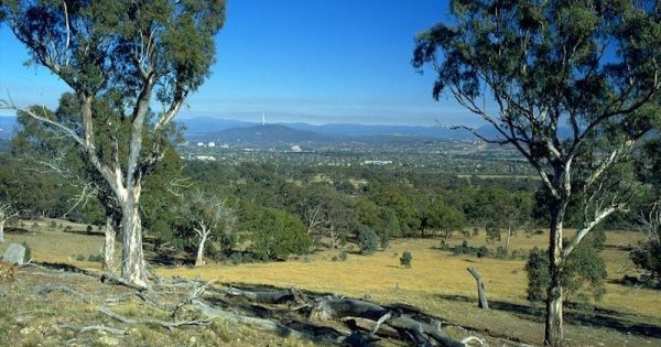 Plumbing a safer, more sustainable Canberra