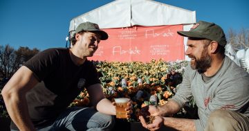 From dust to dust: Capital Brewing goes plastic-free at Floriade