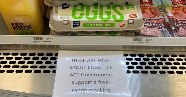 ACT Government taking free-range egg fight to the shelves with better signage