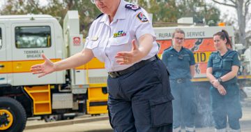 ESA chief says good communications are critical in bushfire emergency