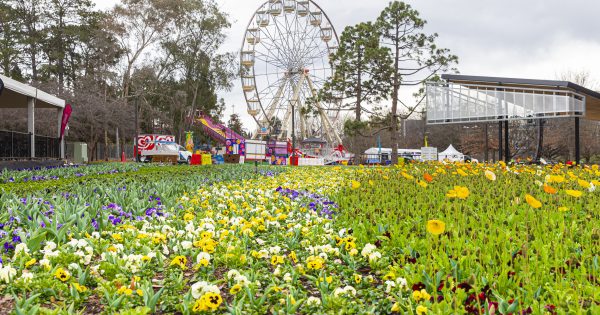 Seven things to do around Canberra this weekend (27–29 September)