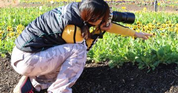 Finding focus when you photograph the Floriade floral frenzy