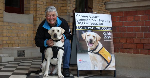 Louise and Lou Lou: a winning team at Goulburn Courthouse