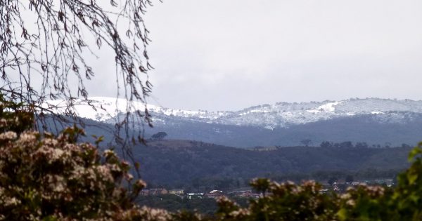 Snow and rain? Welcome to spring in the ACT