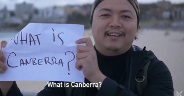 Clueless tourists think Canberra is a lizard, rodent, or sour fruit thing