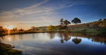 Burnelee Excursions on Horseback: a uniquely Australian experience on Canberra's doorstep