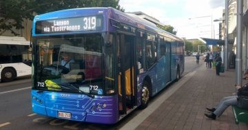 Electric buses missed 35 per cent of their peak services during Canberra trial