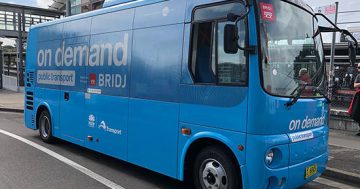 Greens call for on-demand bus service to pick up elderly residents from home