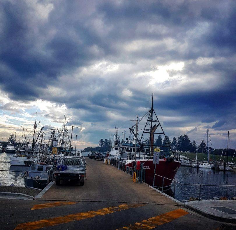 The Bermagui Wharf during tuna season