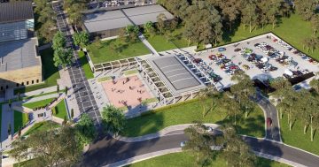 Trees on the chopping block as War Memorial gears up for expansion