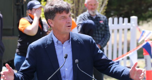 Campaign to oust Angus Taylor gains momentum