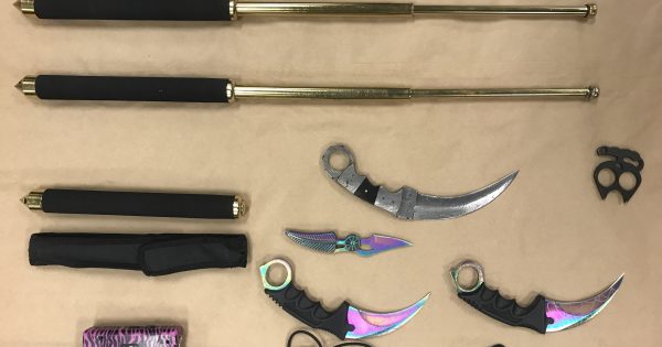 Police seize prohibited weapons and drugs at Conder