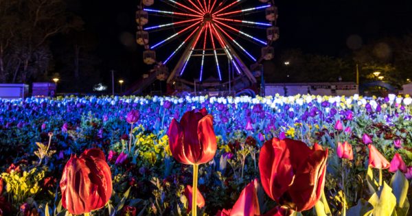 Bloom times for record-breaking Floriade