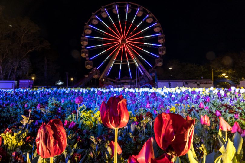 Lights and lightbulbs at Floriade