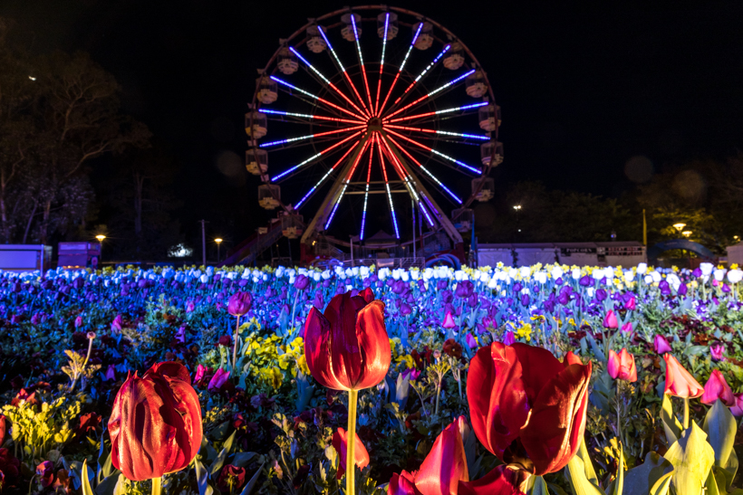 Floriade ferris wheel