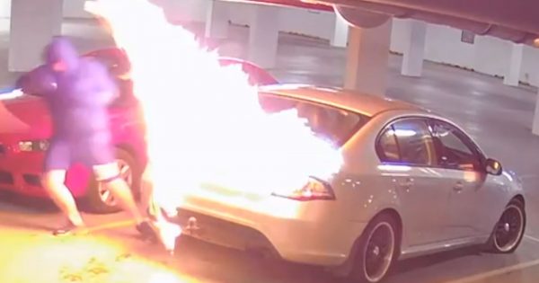 Police release vehicle arson footage