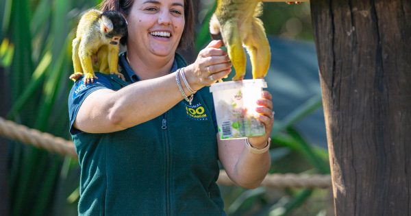 Zookeepers' animal instincts are more than picking up poo