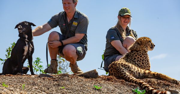 National Zoo to re-open on Saturday