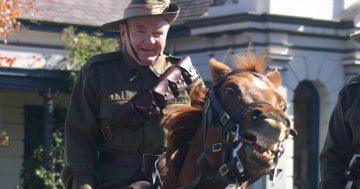 From Bodalla to Braidwood, via Rome and Tokyo, Olympic horseman’s passing mourned