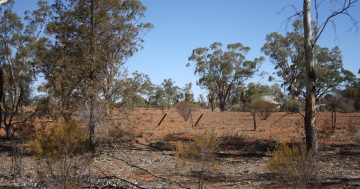 Outback where dust storms, not rain, inhabit the skies