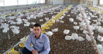 Poultry processor needs 40 per cent of Goulburn’s daily water