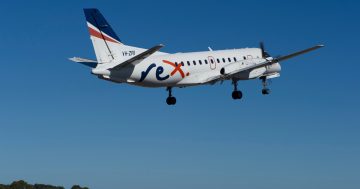 Rex grounds flights criticising lack of government subsidies