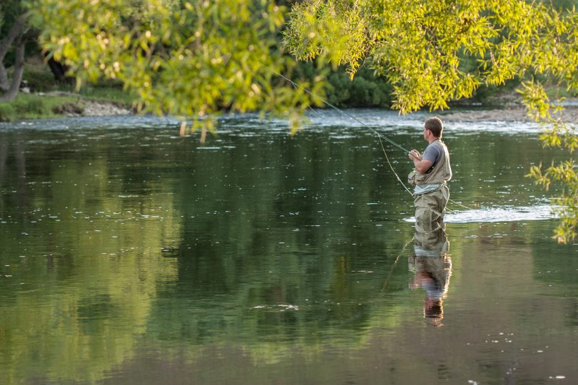 Trout fisher