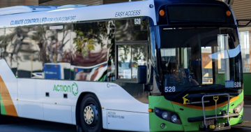Canberra needs more bus drivers to get behind the wheel