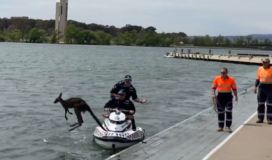 Water police's rescue mission undone with two hops