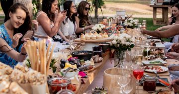 Pialligo Estate launch their Spring Long Lunch in the Olive Grove