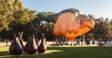 Canberra's iconic Skywhale returns home