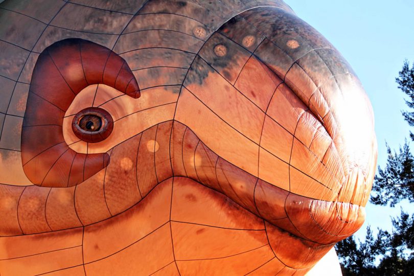 Skywhale