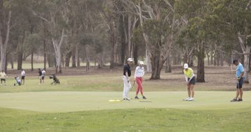 Federal Golf Club adds driving range, pitch and putt to possible subdivision uses