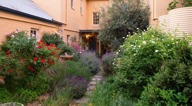 An abundant cottage garden with many fruit trees