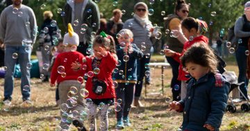 Big Spring Picnic offers family fun at newly refurbished Haig Park