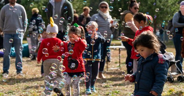 Big Spring Picnic offers family fun at newly refurbished Haig Park