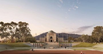 Anzac Hall, dozens of trees to go in War Memorial redevelopment's 'early works'