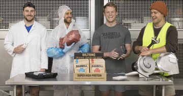 Heavy lifting starts for Canberra's biltong boys